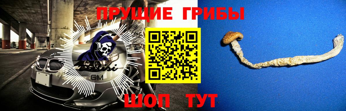 Галлюциногенные грибы GOLDEN TEACHER Сосновый Бор